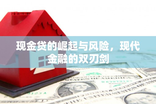 西林现金贷的崛起与风险，现代金融的双刃剑