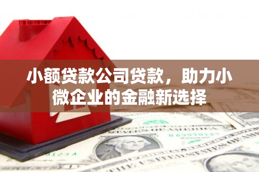 西林小额贷款公司贷款，助力小微企业的金融新选择