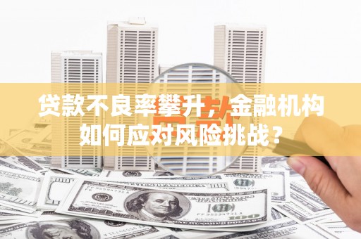 西林贷款不良率攀升，金融机构如何应对风险挑战？