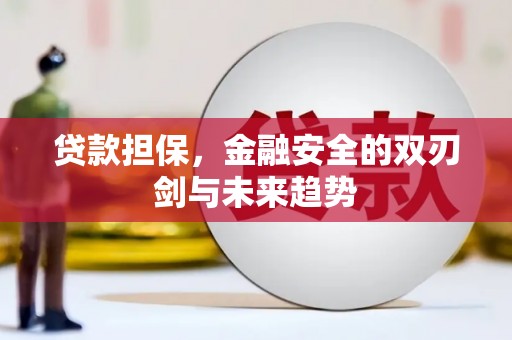 西林贷款担保，金融安全的双刃剑与未来趋势