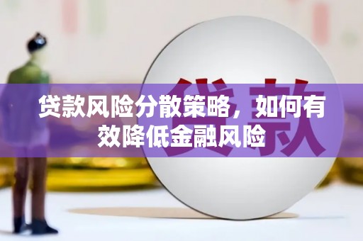 西林贷款风险分散策略，如何有效降低金融风险