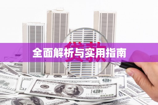 西林全面解析与实用指南