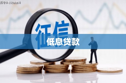 西林低息贷款