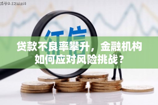 西林贷款不良率攀升，金融机构如何应对风险挑战？