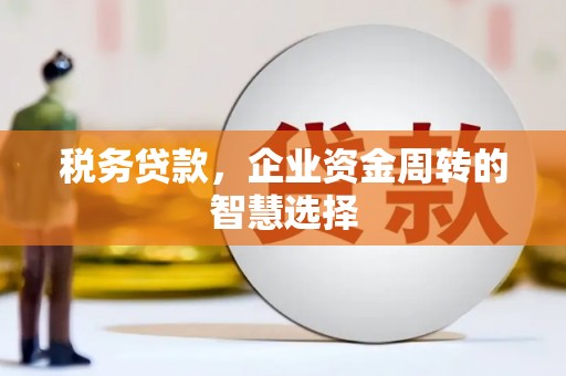 西林税务贷款，企业资金周转的智慧选择