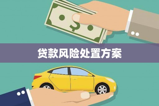 西林贷款风险处置方案