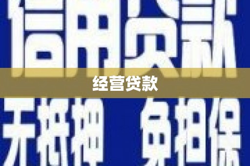 西林经营贷款