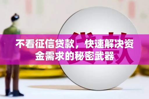 西林不看征信贷款，快速解决资金需求的秘密武器