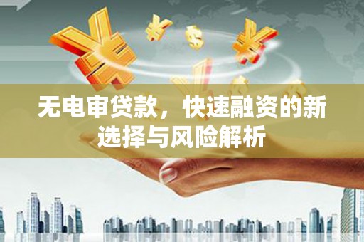 西林无电审贷款，快速融资的新选择与风险解析