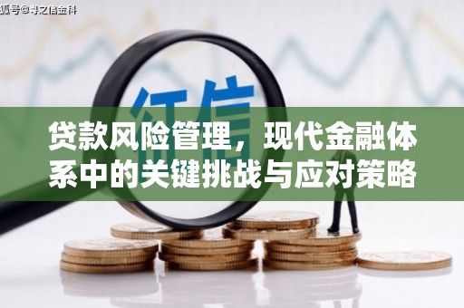 西林贷款风险管理，现代金融体系中的关键挑战与应对策略