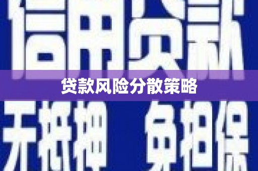 西林贷款风险分散策略