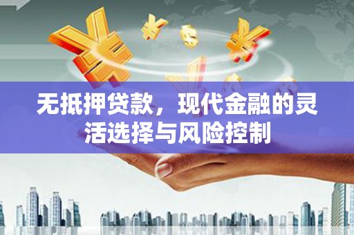 西林无抵押贷款，现代金融的灵活选择与风险控制