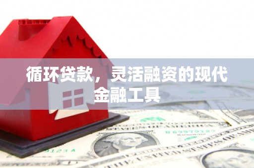 西林循环贷款，灵活融资的现代金融工具