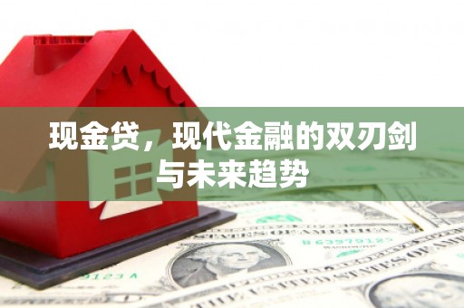 西林现金贷，现代金融的双刃剑与未来趋势