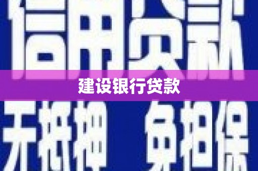 西林建设银行贷款