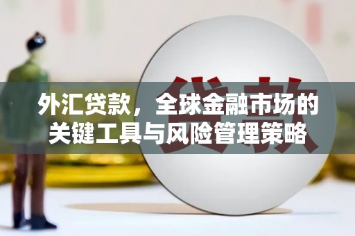 西林外汇贷款，全球金融市场的关键工具与风险管理策略
