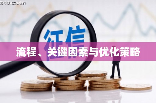 西林流程、关键因素与优化策略