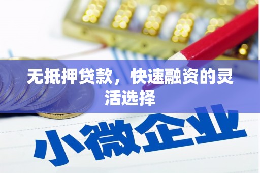 西林无抵押贷款，快速融资的灵活选择