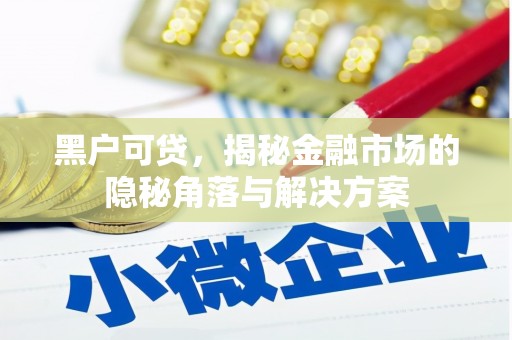西林黑户可贷，揭秘金融市场的隐秘角落与解决方案