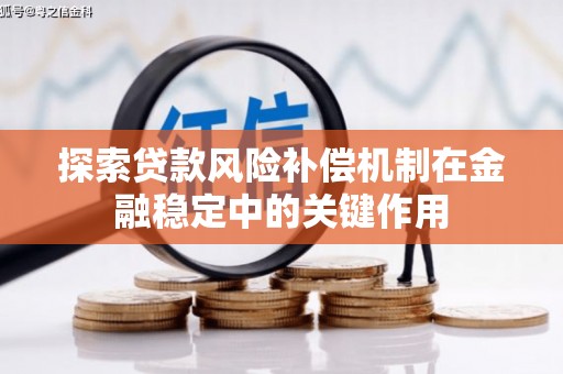 西林探索贷款风险补偿机制在金融稳定中的关键作用
