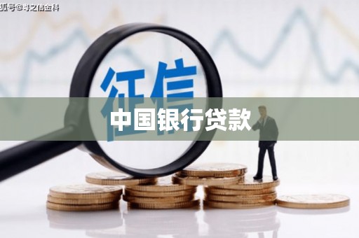 西林中国银行贷款