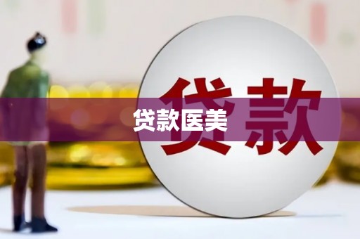 西林贷款医美