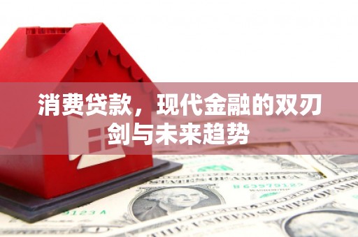 西林消费贷款，现代金融的双刃剑与未来趋势