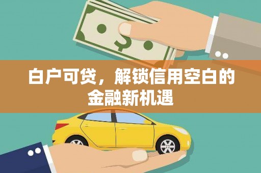 西林白户可贷，解锁信用空白的金融新机遇