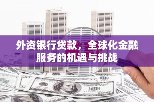 西林外资银行贷款，全球化金融服务的机遇与挑战
