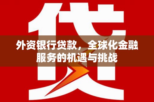 西林外资银行贷款，全球化金融服务的机遇与挑战