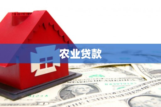 西林农业贷款