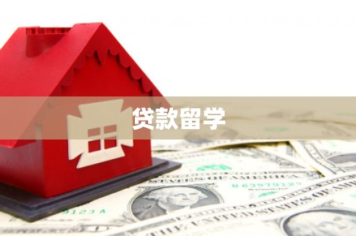 西林贷款留学