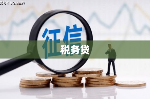 西林税务贷