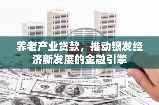 西林养老产业贷款，推动银发经济新发展的金融引擎