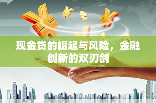 西林现金贷的崛起与风险，金融创新的双刃剑