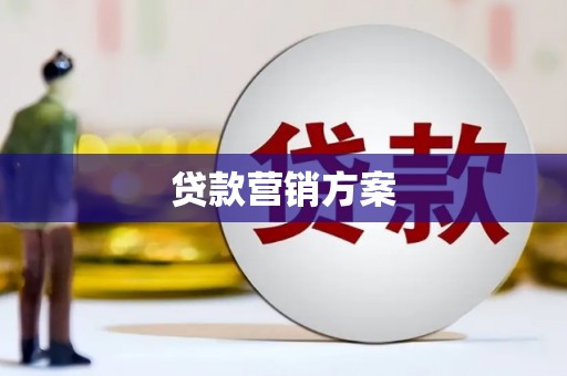 西林贷款营销方案