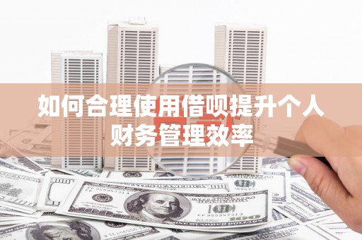 西林如何合理使用借呗提升个人财务管理效率