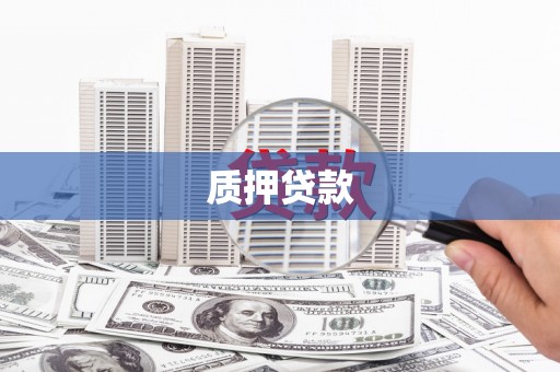 西林质押贷款