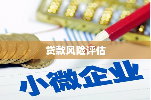 西林贷款风险评估
