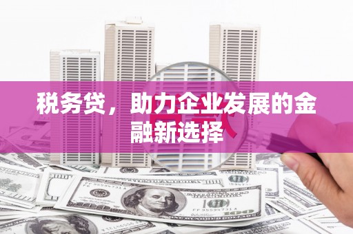 西林税务贷，助力企业发展的金融新选择