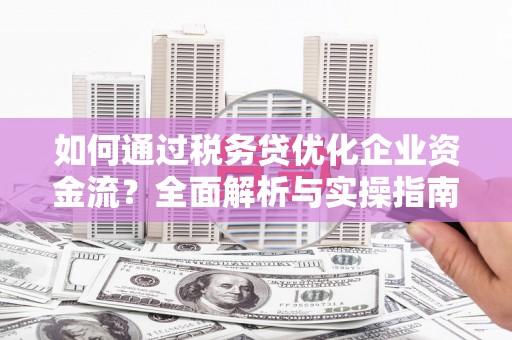 西林如何通过税务贷优化企业资金流？全面解析与实操指南