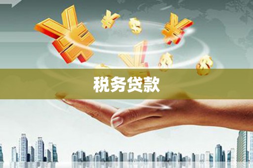 西林税务贷款