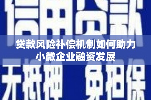 西林贷款风险补偿机制如何助力小微企业融资发展