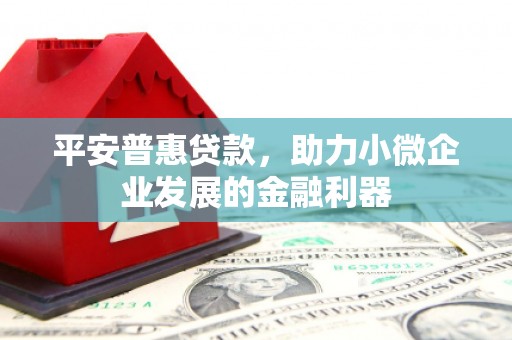 西林平安普惠贷款，助力小微企业发展的金融利器
