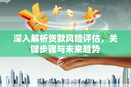 西林深入解析贷款风险评估，关键步骤与未来趋势