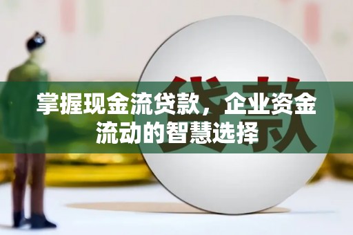 西林掌握现金流贷款，企业资金流动的智慧选择