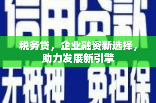 西林税务贷，企业融资新选择，助力发展新引擎