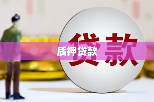 西林质押贷款