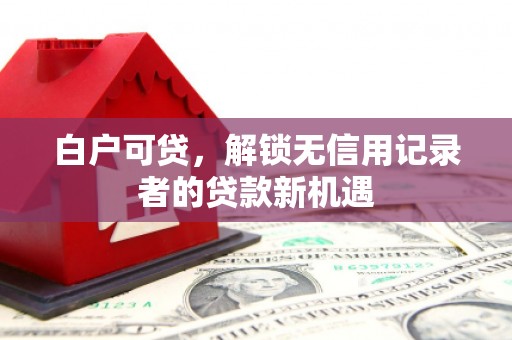 西林白户可贷，解锁无信用记录者的贷款新机遇