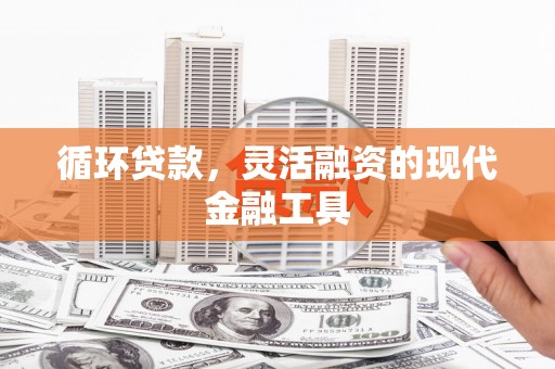 西林循环贷款，灵活融资的现代金融工具